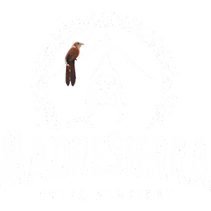 Hotel MadreSierra Parque Tayrona