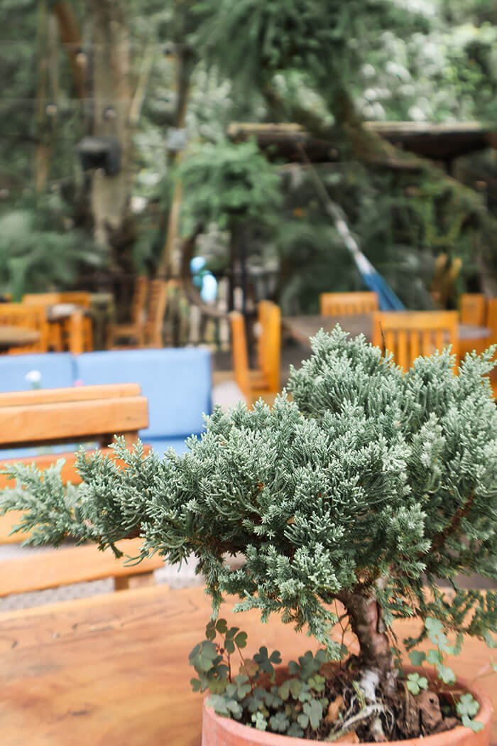 Restaurantes campestres en Santa Marta