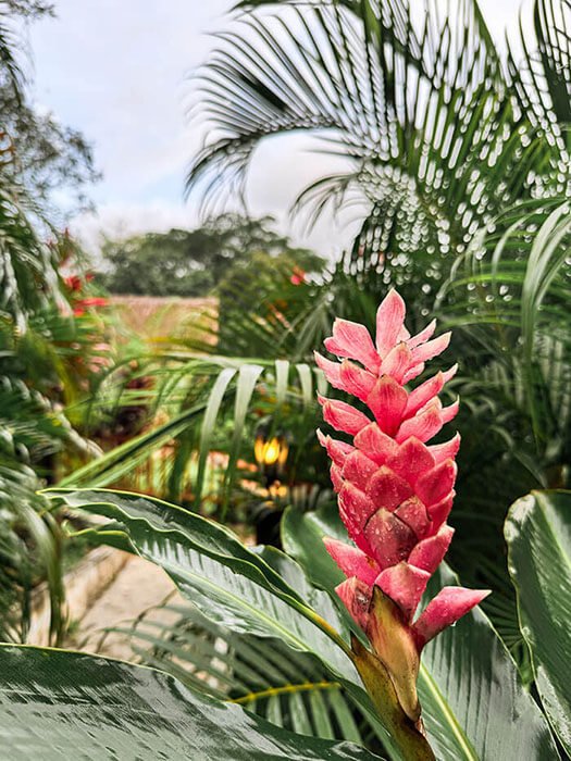 cuanto cuesta un pasadia en santa marta