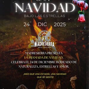 Fiesta Navidad cabaña Suite